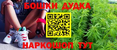 гашик Сланцы