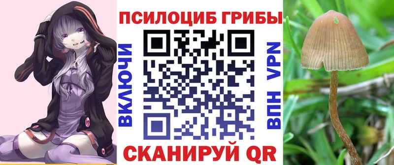 Псилоцибиновые грибы мухоморы  наркошоп  Реутов 