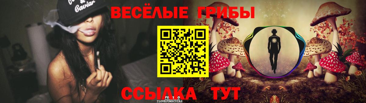 Реутов  Псилоцибиновые грибы мицелий  Вход с VPN 